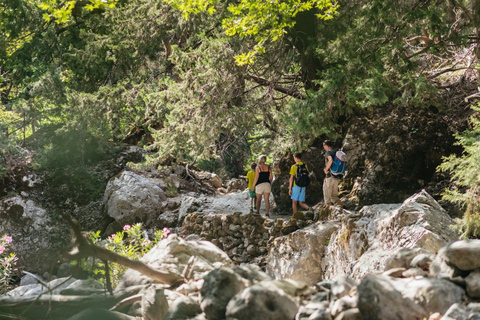 Da Heraklion, Agia Pelagia, Malia: Escursione alle Gole di SamariaRitiro da Heraklion e Ammoudara