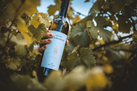 Dresden: Boat Cruise with Wine Tasting and Snacks