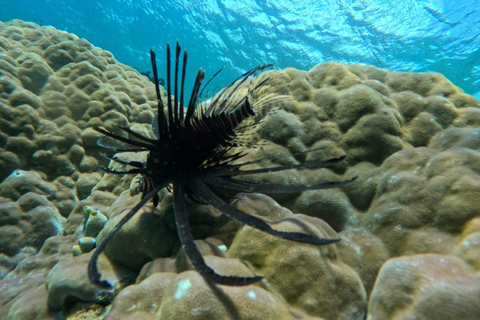 From Lombok: Gili Nanggu, Sudak, and Kedis Island Tour