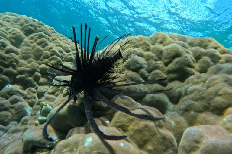 From Lombok: Gili Nanggu, Sudak, and Kedis Island Tour