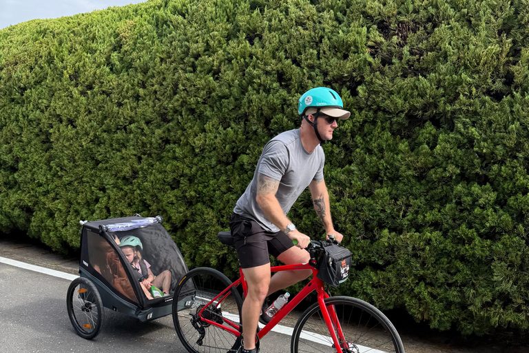 Arashiyama Bamboo Forest Family Bike Tour (Infant & Kids)