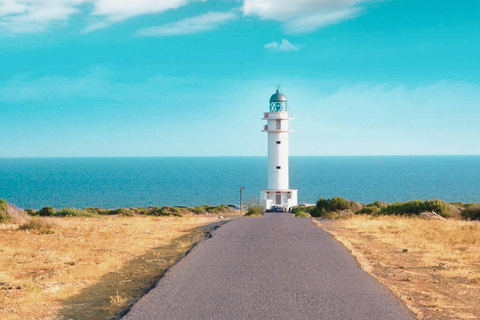 Ibiza: Formentera Tour with Meals Water Activity & Free Time