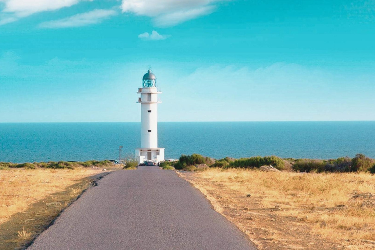 Ibiza: Formentera Tour with Meals Water Activity & Free Time