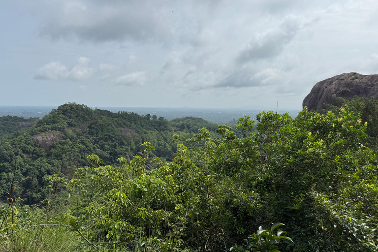From Colombo: Cave Temples, Jungle Trek & Waterfall Swim