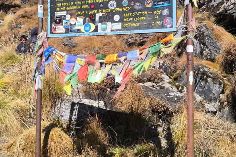Pokhara: Annapurna base camp Trek with Female Guide
