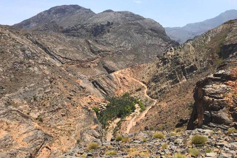 Day Trip to Wadi Bani Awf,Balad Sayt,Nakhal Fort-Hot Spring