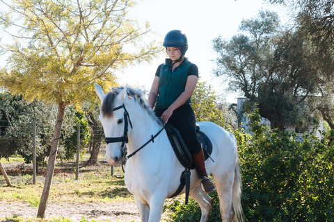 Horseback ride around Doñana National Park Horseback riding around Doñana National Park