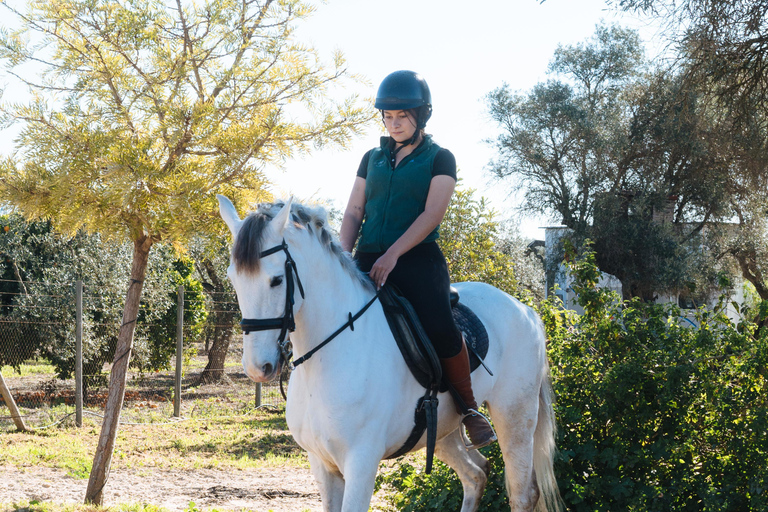 Horseback ride around Doñana National Park Horseback riding around Doñana National Park