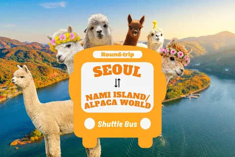 Seoul to/from Nami Island or Alpaca World: Shuttle Service