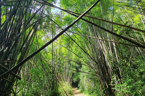 Khao Sok: All-Inclusive Day & Night Trek with Bamboo Dinner Option 2: Day & Night Trek with Bamboo Dinner From Khao Sok