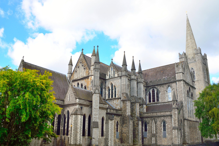 Dubline: Irish Churches and Religion Private Walking Tour 3-hour: 2 Churches & 2 Cathedrals Tour