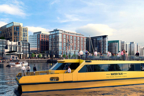 DC: Hop-on Hop-off Bus Tour & Sightseeing Water Taxi Cruise