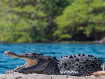 Huatulco:Ventanilla, Zipolite,Mazunte, and Puerto Angel Tour