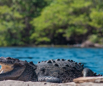 Huatulco: tour di Ventanilla, Zipolite, Mazunte e Puerto Angel