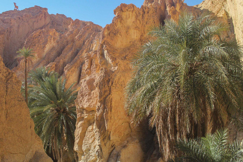 In the footsteps of Star Wars in Tunisia: 3-day tour from Djerba