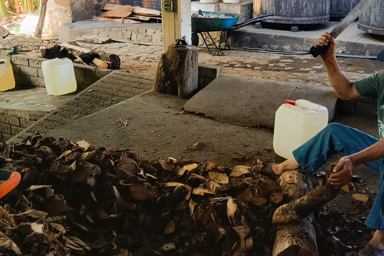 Depuis Puerto Escondido : Gataway à Oaxaca en une journée.