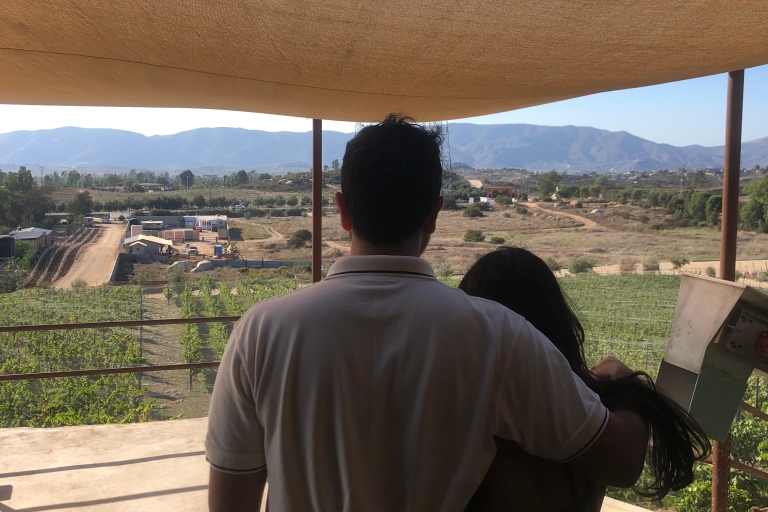 Depuis Ensenada : Dégustation de vin à la vallée de Guadalupe EnsenadaExcursion privée dans la vallée de Guadalupe Vine Yards & Wine Route ENS