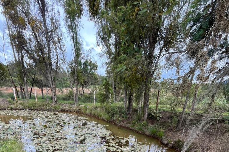 From Bogotá: Monserrate and Villa de Leyva, an Unmissable Experience!