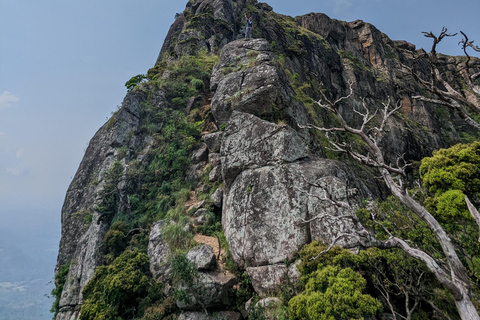 Da Kandy: escursione alle cime gemelle di Kanawiddagala e YahangalaDa Kandy: escursione alle due cime gemelle di Kanawiddagala e Yahangala