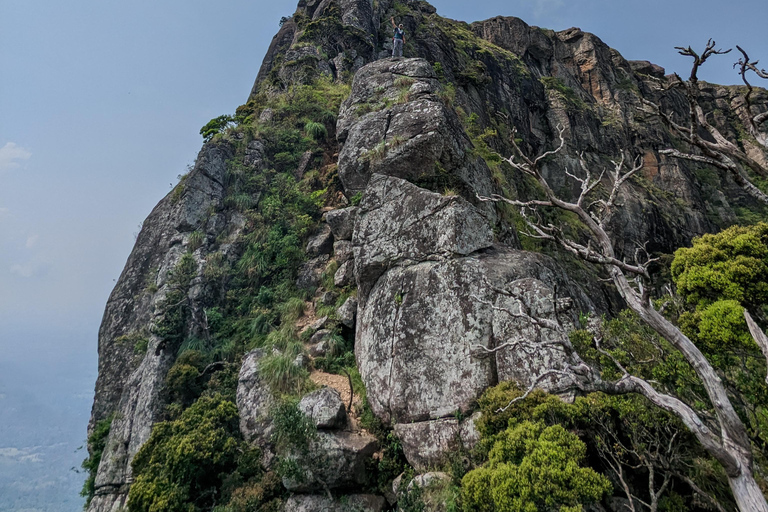 Da Kandy: escursione alle cime gemelle di Kanawiddagala e YahangalaDa Kandy: escursione alle due cime gemelle di Kanawiddagala e Yahangala