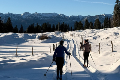 Slovenia: Nordic Backcountry Skiing Adventure Pokljuka: Zajavornik Alpine Meadow