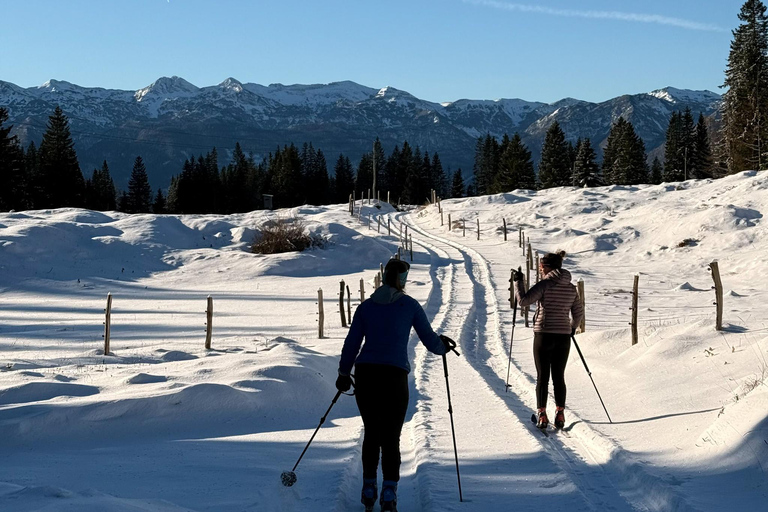 Slovenia: Nordic Backcountry Skiing Adventure Pokljuka: Zajavornik Alpine Meadow