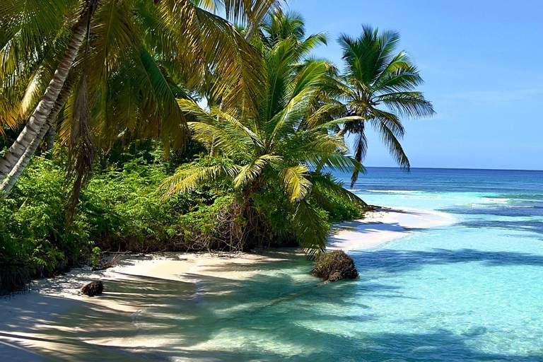 Punta Cana: Shopping Tour with Tastings and Hotel Pickup