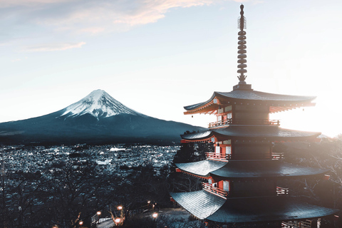 Tokyo: Mount Fuji Private Customizable Tour In Luxury Van