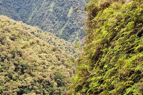 La Paz: Epic Death Road Bike Adventure