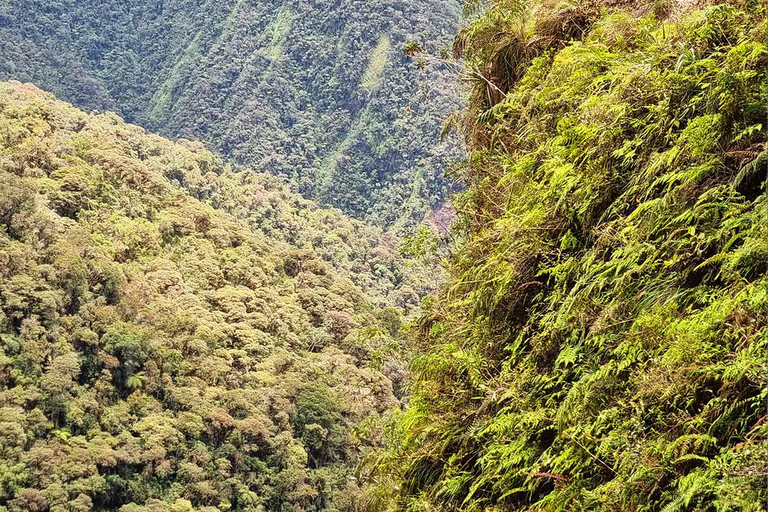 La Paz: Epic Death Road Bike Adventure