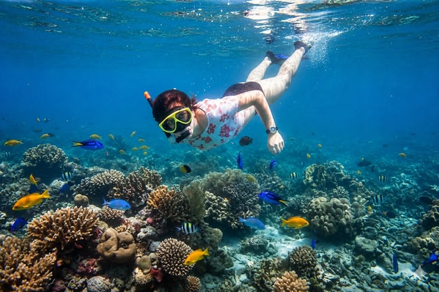 Bali: Lovina Sunset Tour mit Schnorchelerlebnis