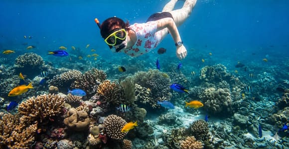 Lovina Bali: Sunset Boat Cruise & Coral Reef Snorkeling