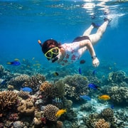 Lovina Bali: Sunset Boat Cruise & Coral Reef Snorkeling