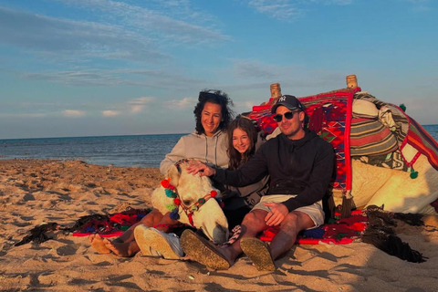 Hurghada: Desert & Beach Camel Ride with Transfers