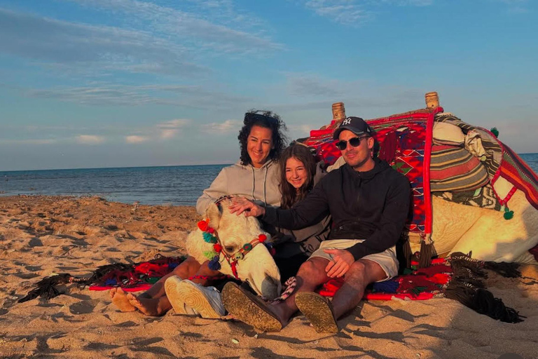 Hurghada: Desert & Beach Camel Ride with Transfers