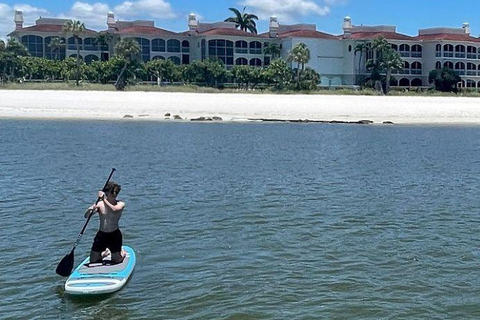 Naples, FL: Stand-Up Paddleboard Rental 24h Stand-Up Paddleboard Rental