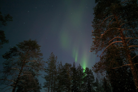 Rovaniemi: Garantiertes magisches Nordlicht-AbenteuerPrivate Jagd auf Nordlichter