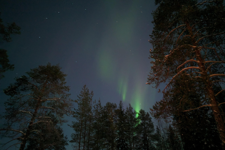 Rovaniemi: Garantiertes magisches Nordlicht-AbenteuerPrivate Jagd auf Nordlichter