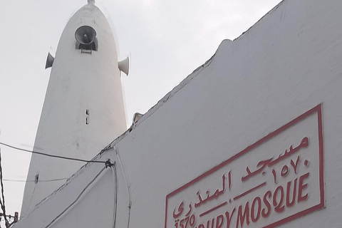 Mombasa: Private City Tour with street food and Haller Park