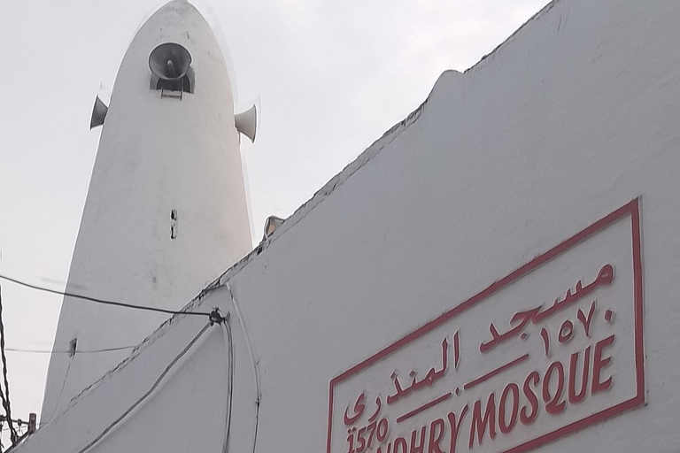 Mombasa: Private City Tour with street food and Haller Park