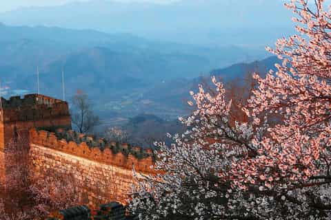 Pekin : visite de la Grande Muraille de Mutianyu (navette incluse)