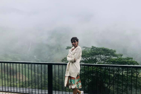 From Kandy: Nuwara Eliya Day Tours (Ambewela Railway Drop)