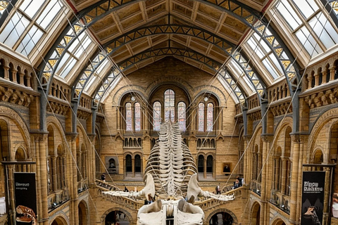 Beijing: National Museum of China Private Guided Tour Portuguese private tour