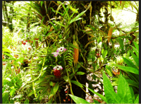 星期四，在萨拉兹马戏团的指导游览。 - Housity