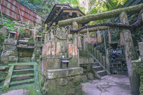 Kyoto: Excursão de caminhada escondida de 3 horas no Santuário Fushimi Inari