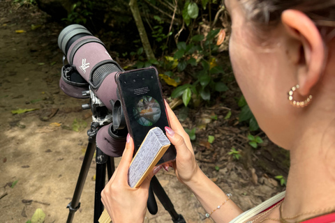 Cahuita: Walking Tour and Wildlife Sightseeing, Tour with Tour Guide