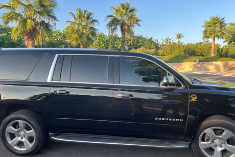 VIAGGIO DI SOLA ANDATA DALL'AEROPORTO (SJD) - HOTEL DI CABO SAN LUCASVIAGGIO DI SOLA ANDATA DALL'AEROPORTO (SJD)-HOTEL DI CABO SAN LUCAS