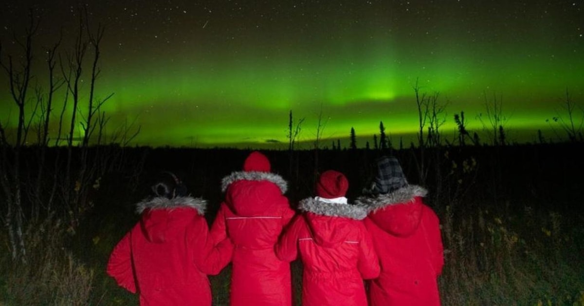 Anchorage Northern Lights Tour GetYourGuide