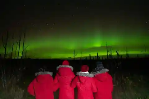 Anchorage: Nighttime Northern Lights Tour