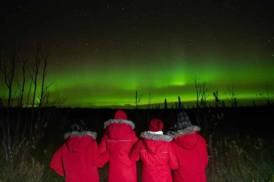 Anchorage: Nordlichter Tour. Foto: GetYourGuide